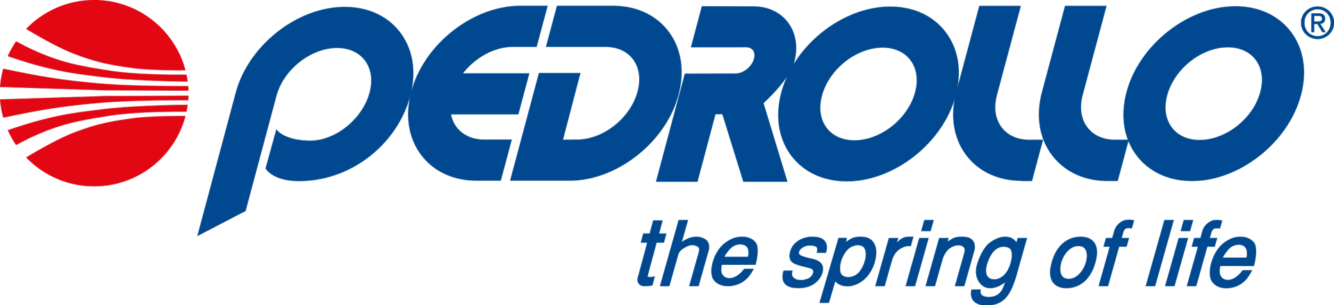 1364261913LOGO PEDROLLO